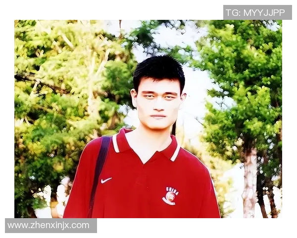 姚明脸素材的创意应用与设计灵感探索，打造独特视觉效果与艺术表现